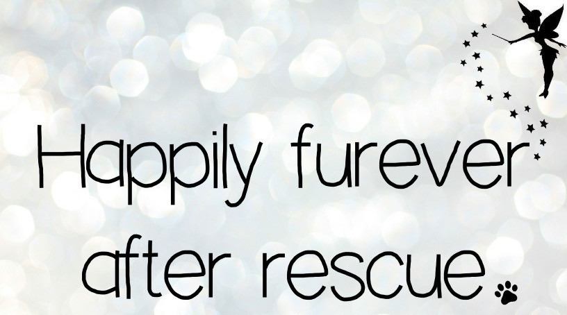 Happily Furever After Rescue Logo