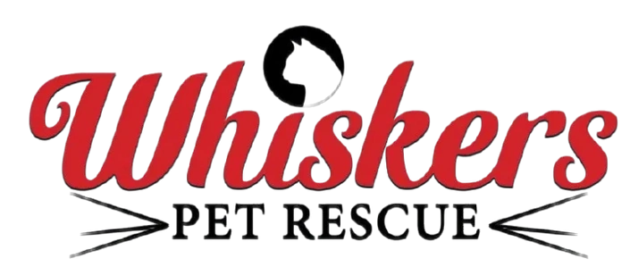 Whiskers Pet Rescue