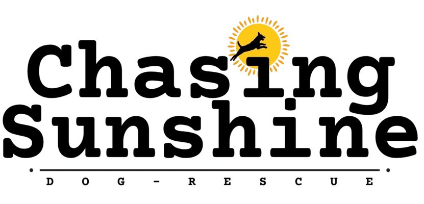 Chasing Sunshine Pet Rescue