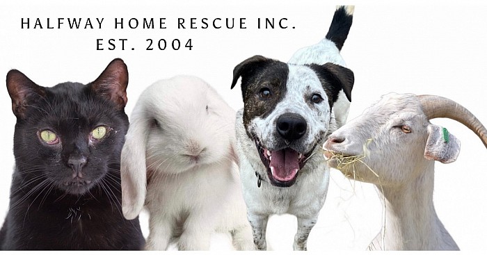 Halfway Home Rescue