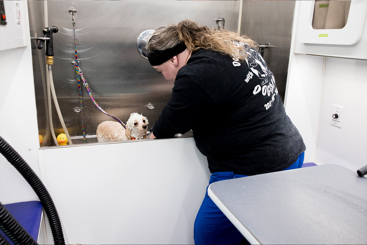 Professional mobile dog grooming bathing station inside Dogfather Grooming van
